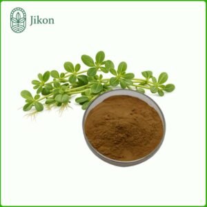 Bacopa Extract 20% Bacopasides HPLC