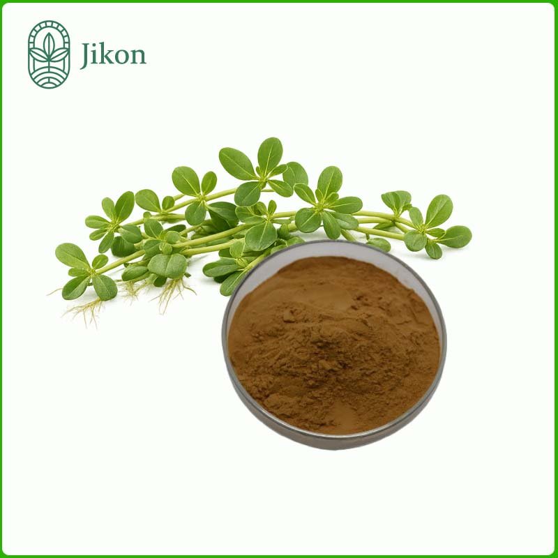 Bacopa Extract 20% Bacopasides HPLC
