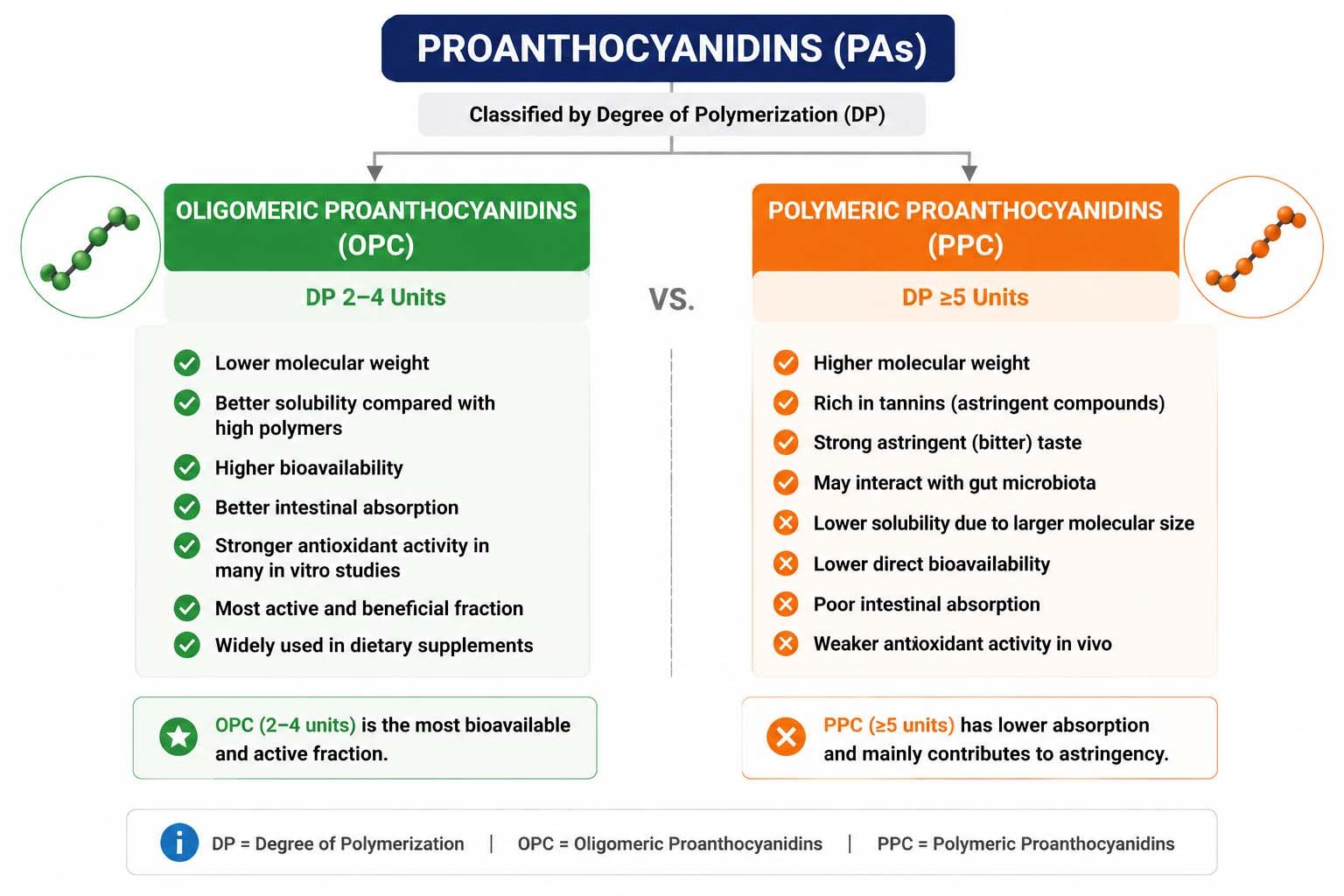 OPC vs PPC proanthocyanidins comparison infographic