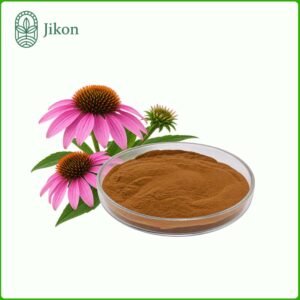 Echinacea Purpurea Extract