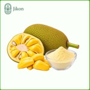 Jackfruit Powder (Artocarpus heterophyllus)
